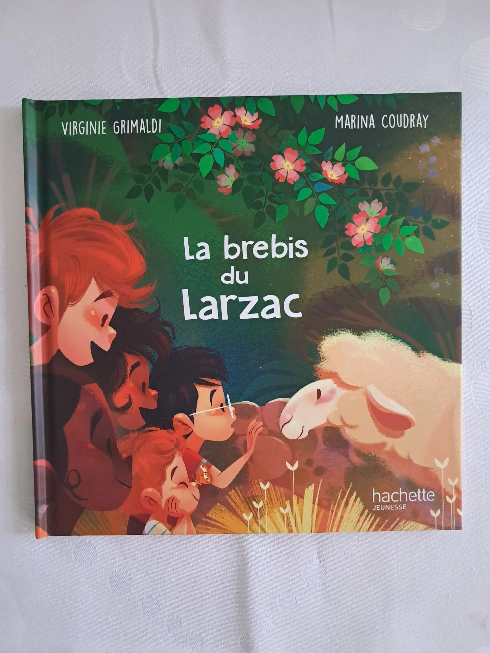 Lot van 2 wonderen van Frankrijk boeken van MC do – photo 3